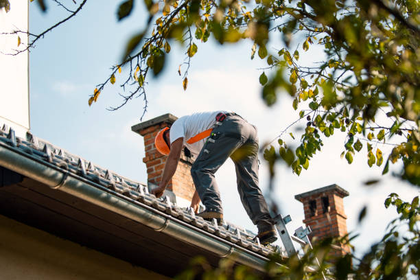 Best Emergency Roof Repair  in Castalia, OH